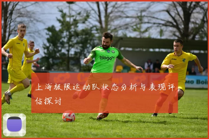 上海极限运动队状态分析与表现评估探讨