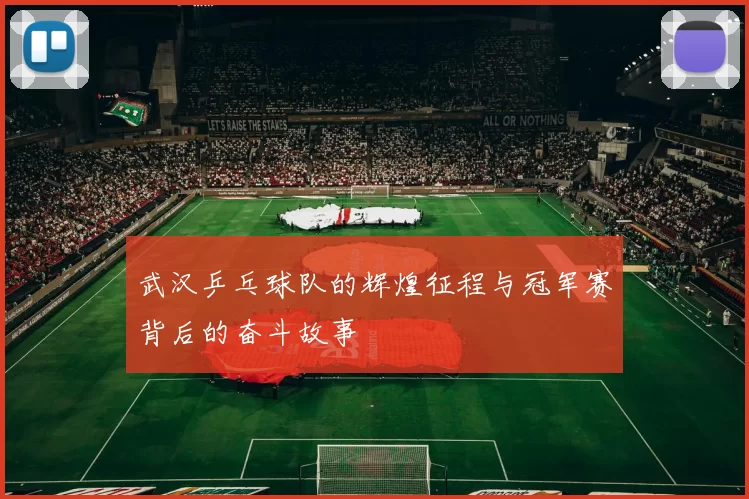 武汉乒乓球队的辉煌征程与冠军赛背后的奋斗故事