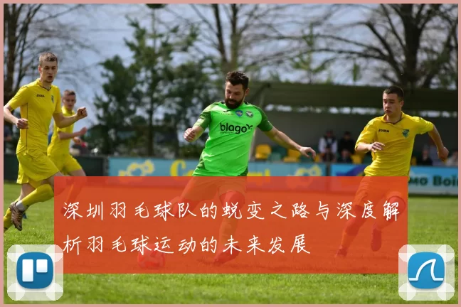 深圳羽毛球队的蜕变之路与深度解析羽毛球运动的未来发展