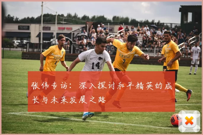 张伟专访：深入探讨和平精英的成长与未来发展之路