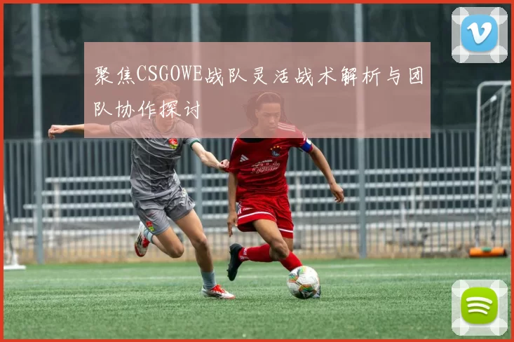 聚焦CSGOWE战队灵活战术解析与团队协作探讨