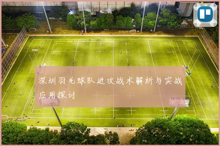 深圳羽毛球队进攻战术解析与实战应用探讨