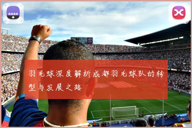 羽毛球深度解析成都羽毛球队的转型与发展之路