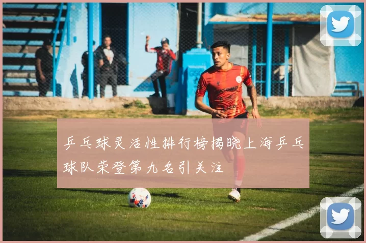 乒乓球灵活性排行榜揭晓上海乒乓球队荣登第九名引关注