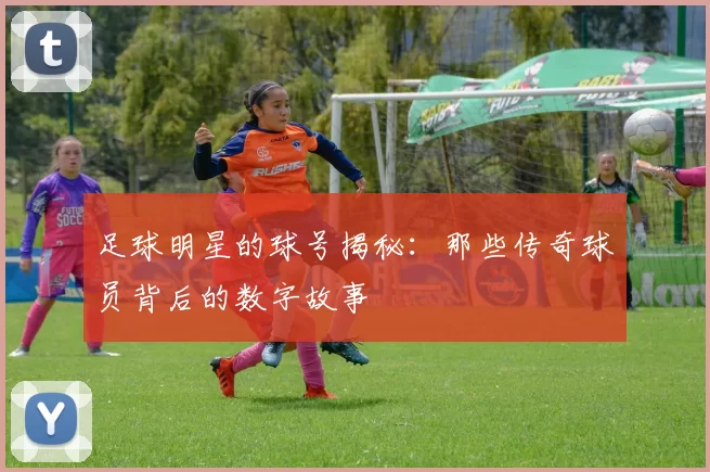 足球明星的球号揭秘：那些传奇球员背后的数字故事