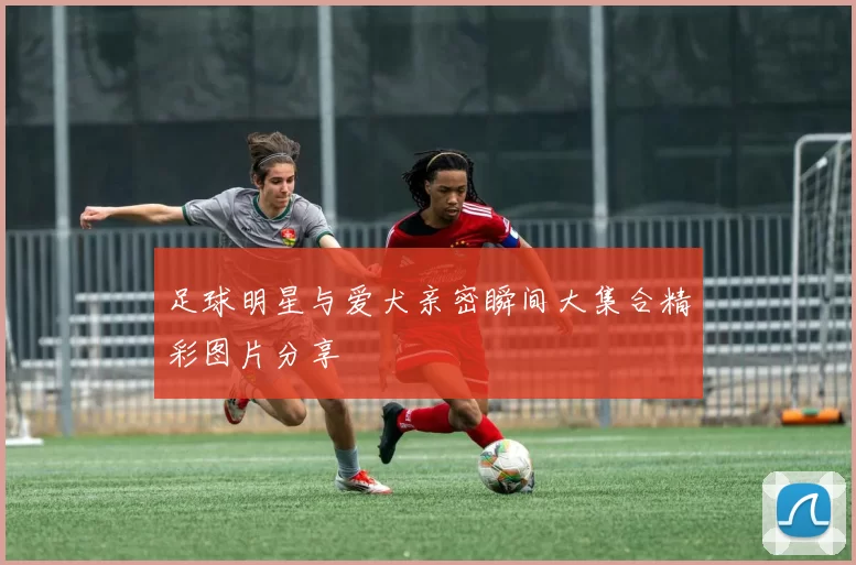 足球明星与爱犬亲密瞬间大集合精彩图片分享