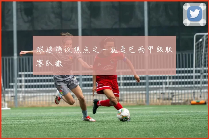 球迷热议焦点之一就是巴西甲级联赛队徽