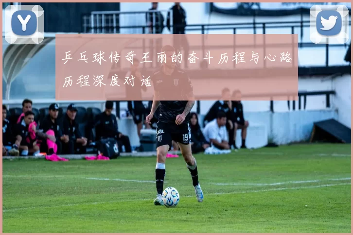 乒乓球传奇王丽的奋斗历程与心路历程深度对话