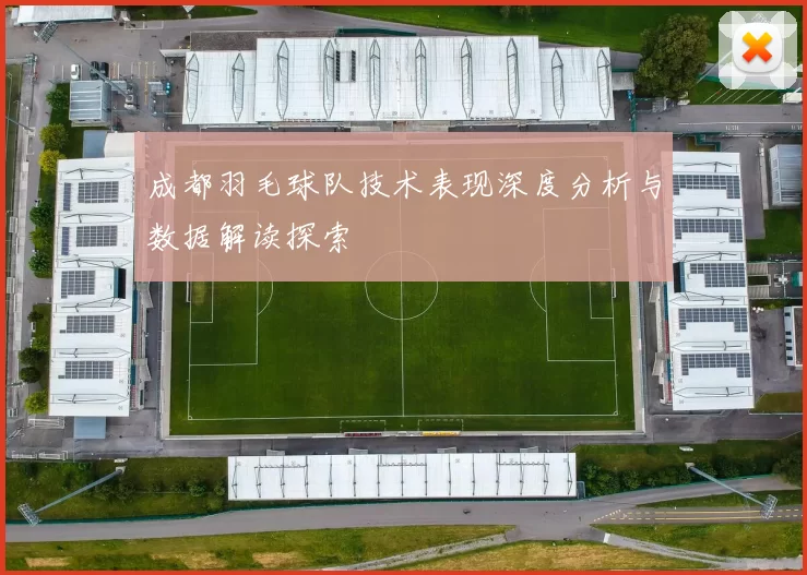 成都羽毛球队技术表现深度分析与数据解读探索