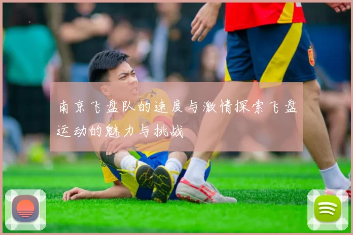 南京飞盘队的速度与激情探索飞盘运动的魅力与挑战