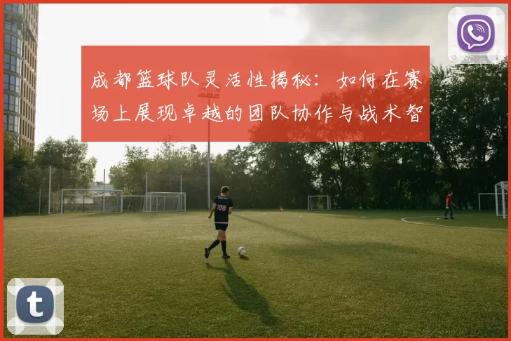 成都篮球队灵活性揭秘：如何在赛场上展现卓越的团队协作与战术智慧
