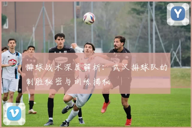 排球战术深度解析：武汉排球队的制胜秘密与训练揭秘