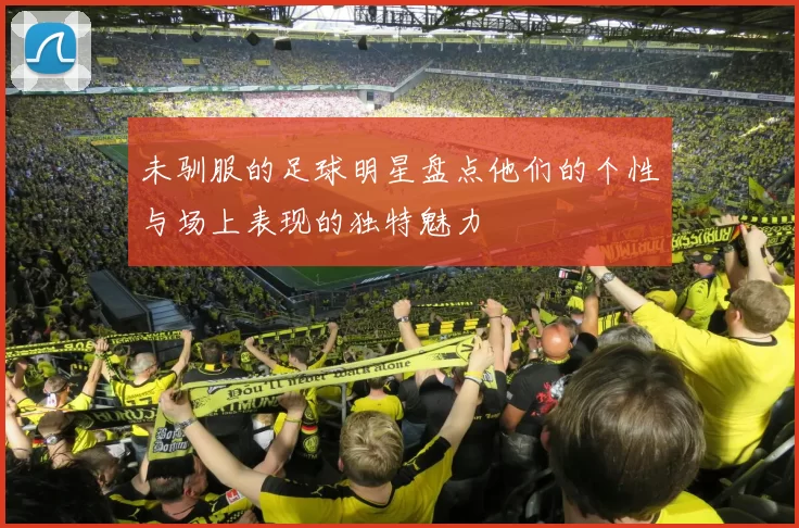 未驯服的足球明星盘点他们的个性与场上表现的独特魅力