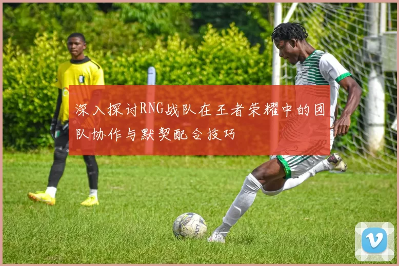深入探讨RNG战队在王者荣耀中的团队协作与默契配合技巧