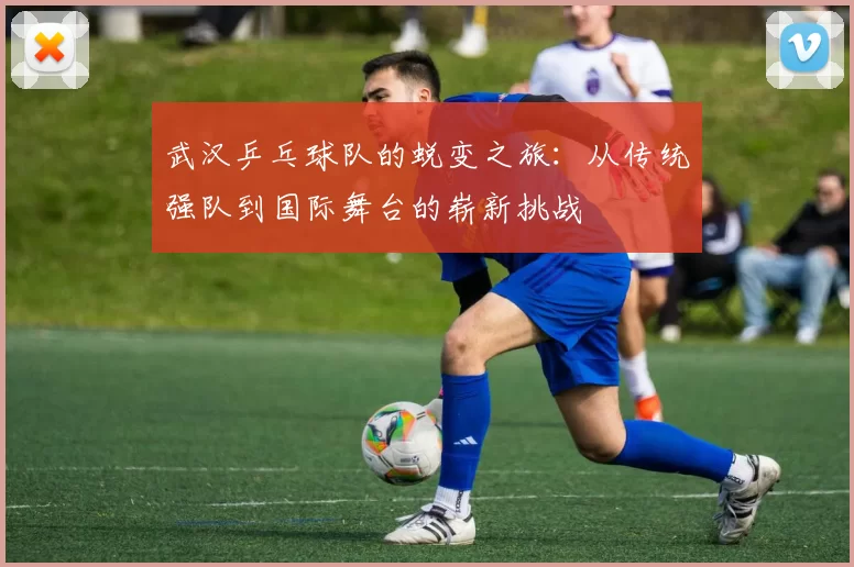 武汉乒乓球队的蜕变之旅：从传统强队到国际舞台的崭新挑战