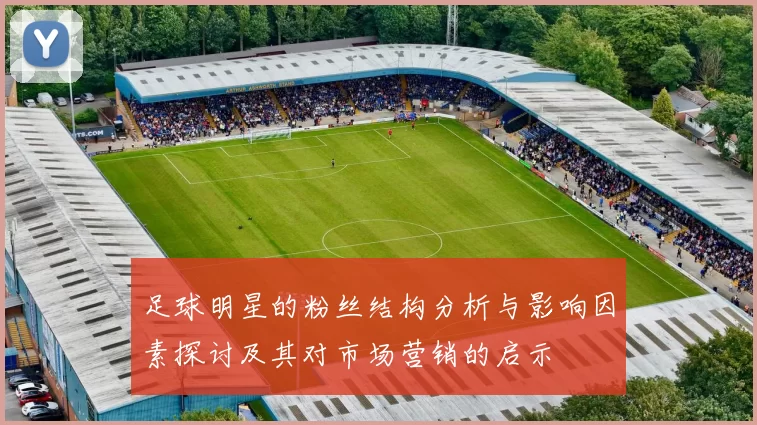 足球明星的粉丝结构分析与影响因素探讨及其对市场营销的启示