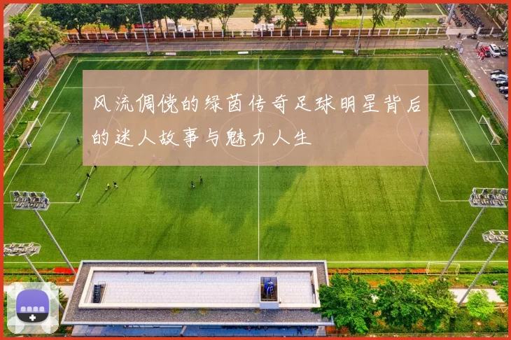 风流倜傥的绿茵传奇足球明星背后的迷人故事与魅力人生