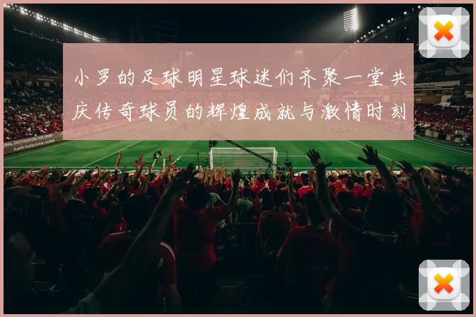小罗的足球明星球迷们齐聚一堂共庆传奇球员的辉煌成就与激情时刻