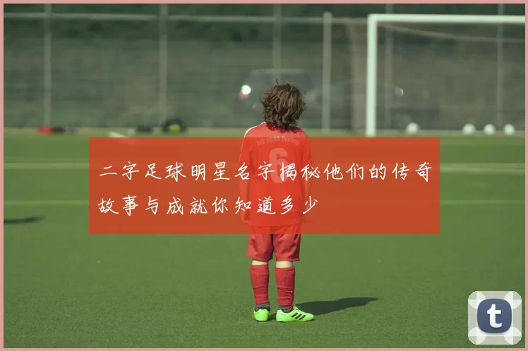 二字足球明星名字揭秘他们的传奇故事与成就你知道多少