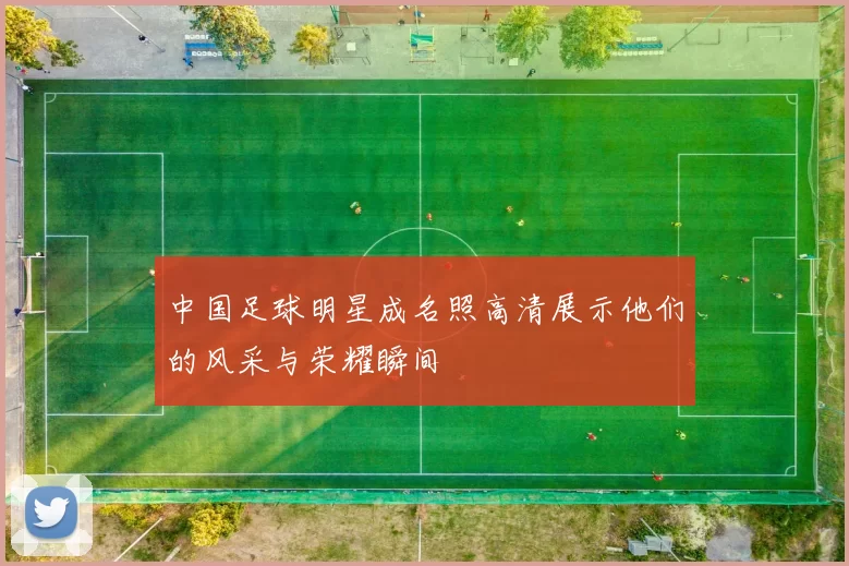 中国足球明星成名照高清展示他们的风采与荣耀瞬间