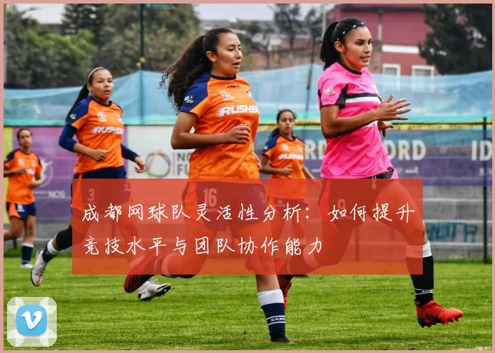 成都网球队灵活性分析：如何提升竞技水平与团队协作能力